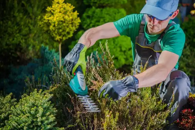 landscaping services West Dennis